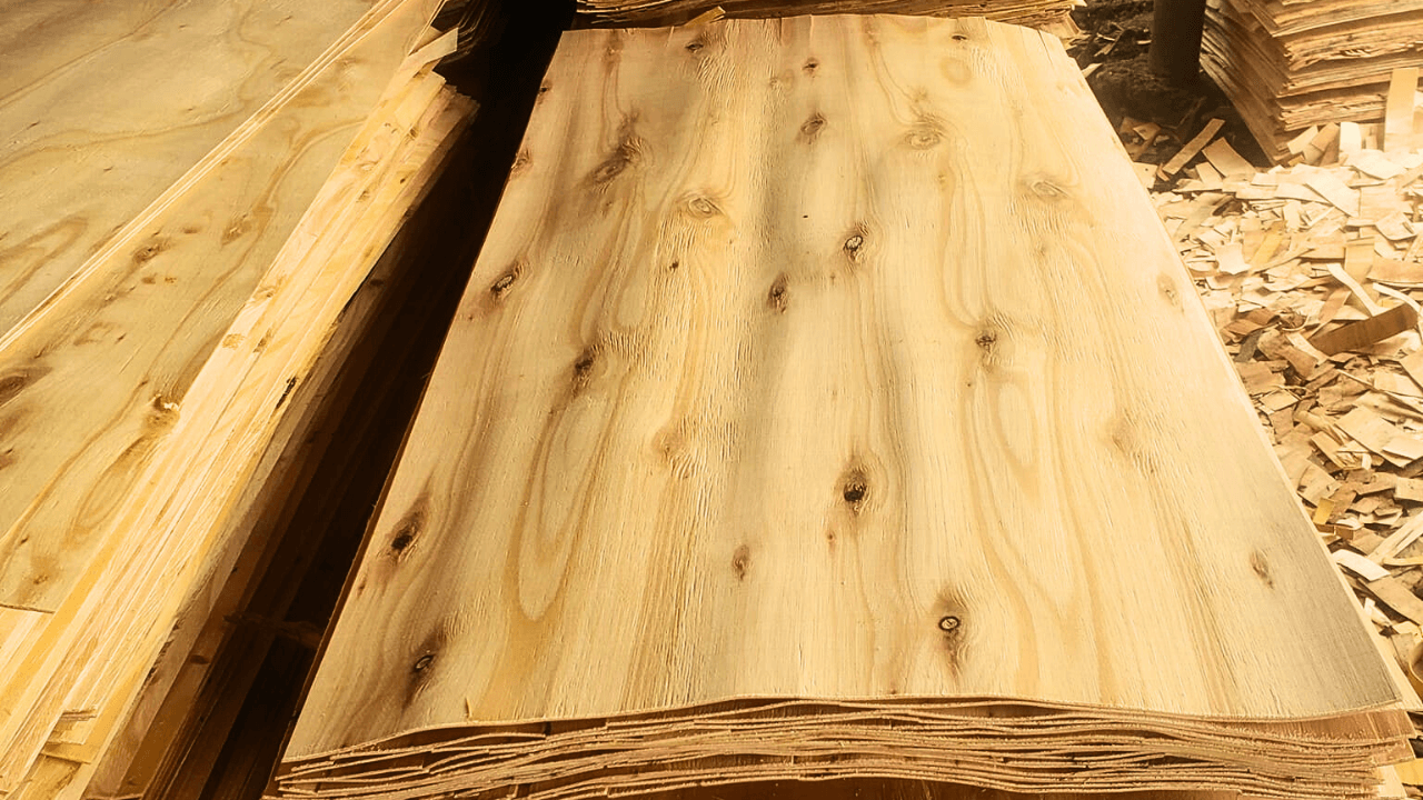 new-century-eucalyptus-core-veneer