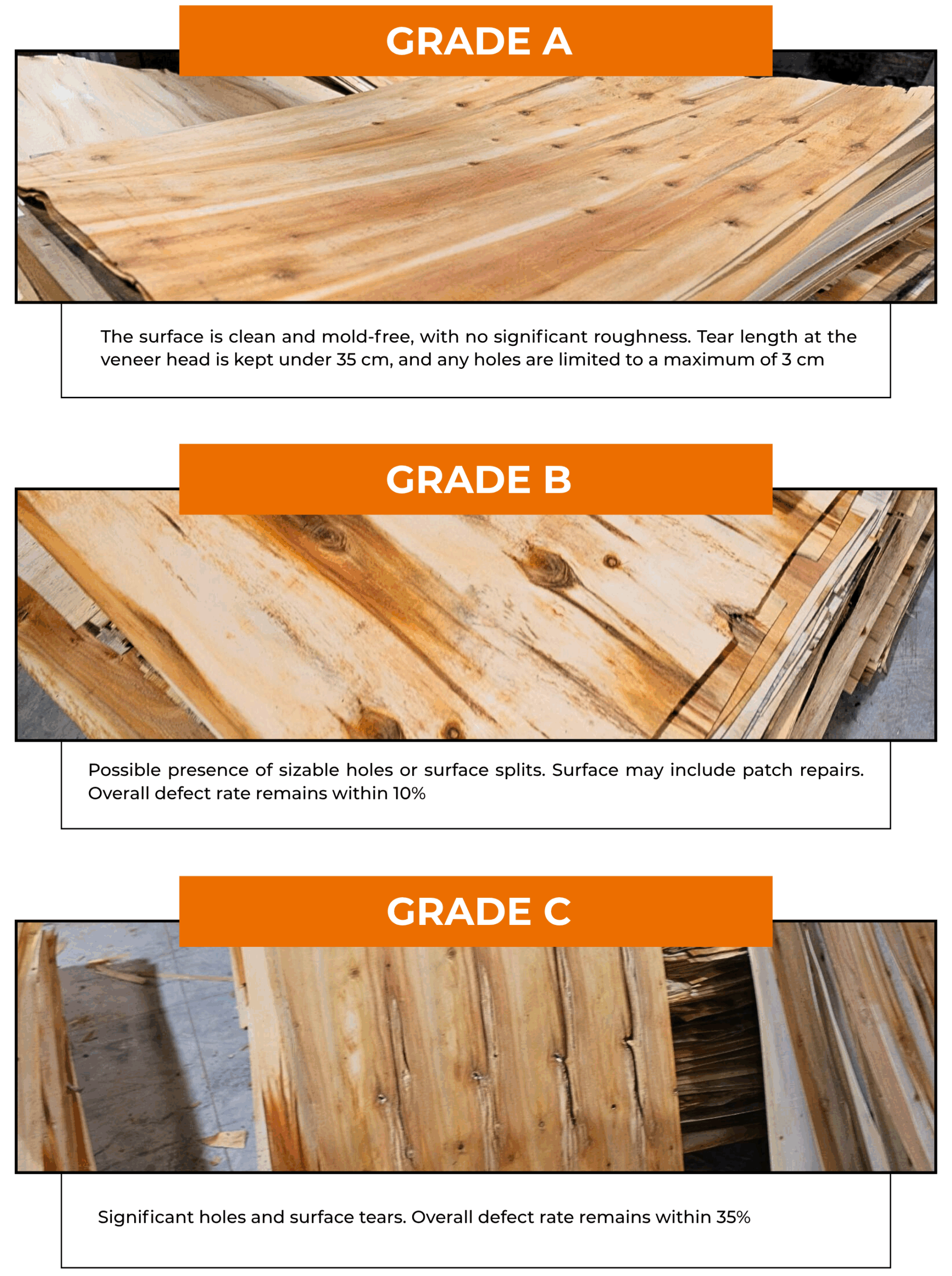 Eucalyptus Core Veneer: Grade Comparison